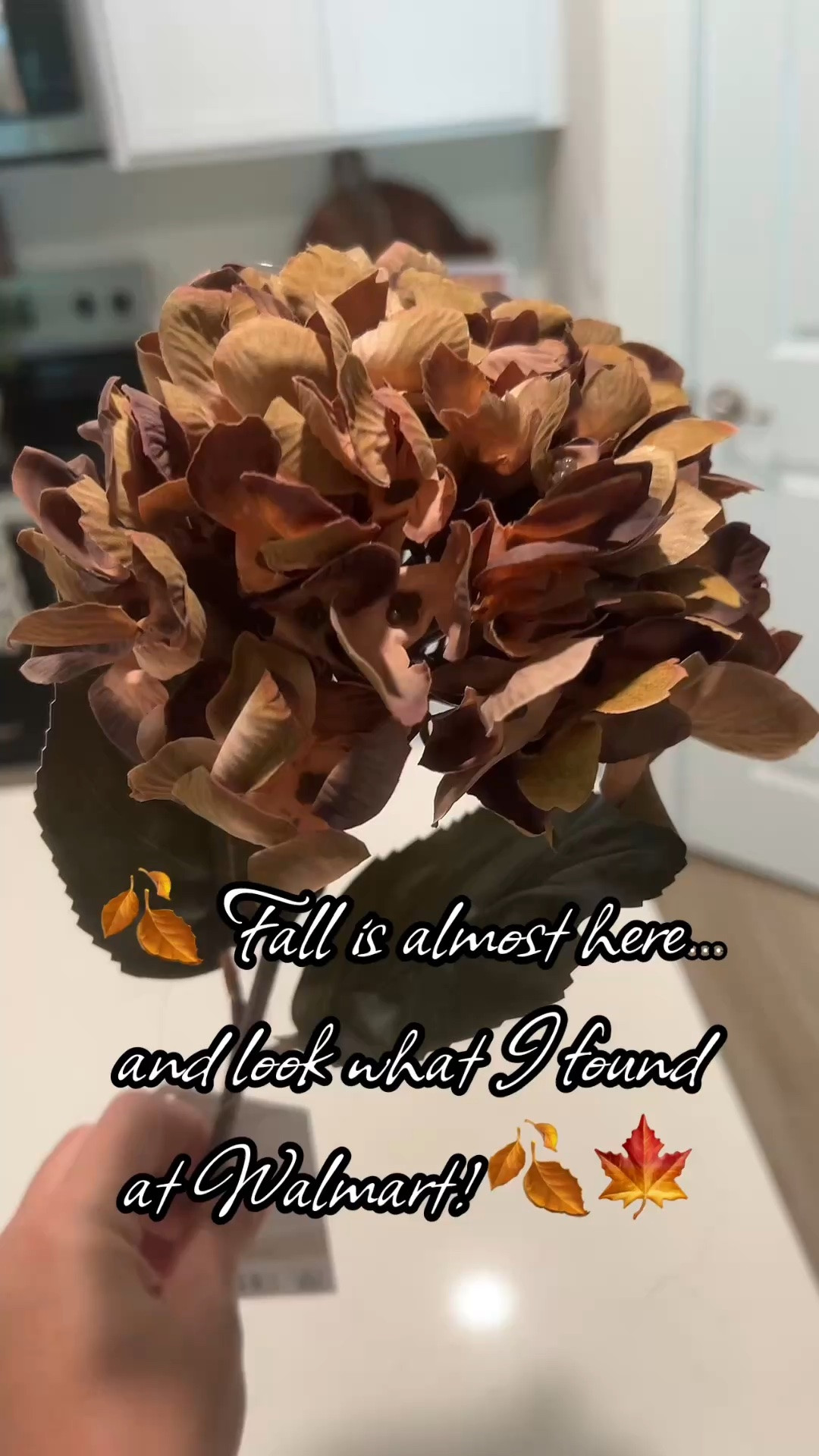 Loving these cozy autumn vibes for the home 🍂 Dried hydrangeas & rustic touches for fall. Tap to shop the look! @mytexashouse

#LTKSeasonal #LTKHome #LTKdayinmylife