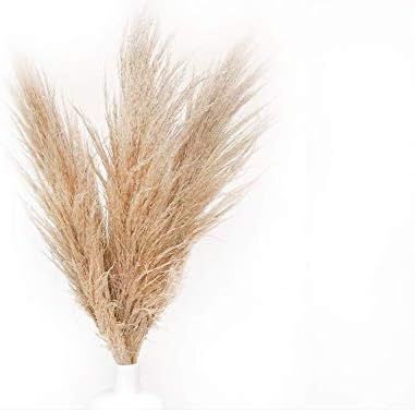 Boho City Blooms Pampas Grass - | 5 Stems - 48'' | Premium Natural Dried Pampas Grass Decor | Hom... | Amazon (US)