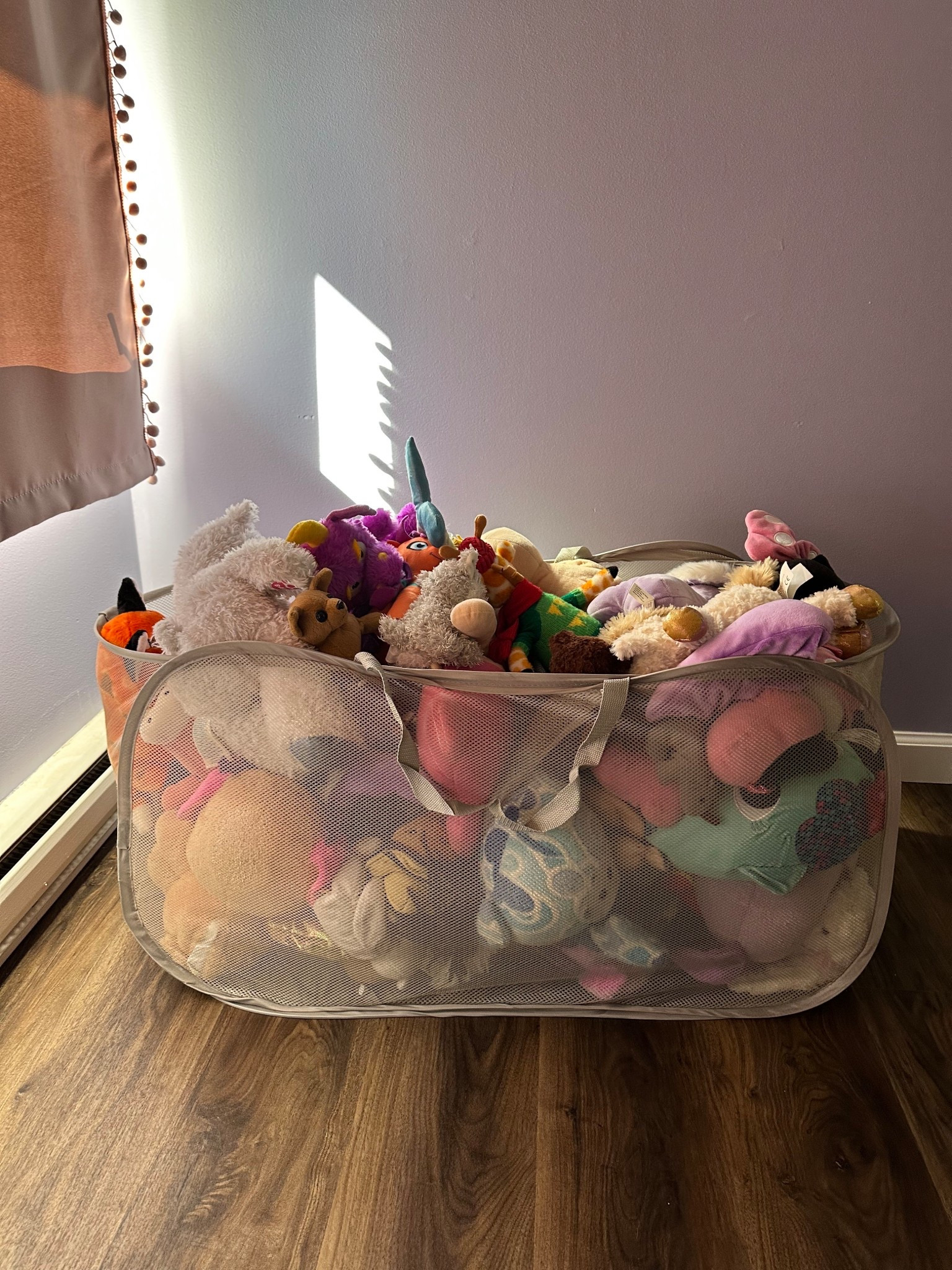 An inexpensive stuffed animal corral 
There are so many in there, I’m honestly shocked how much it holds!


#LTKHome #LTKKids #LTKFamily