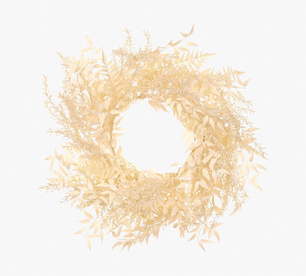 Faux Ruscus Fern Willow Wreath, 28&amp;quot;, Cream | Pottery Barn (US)