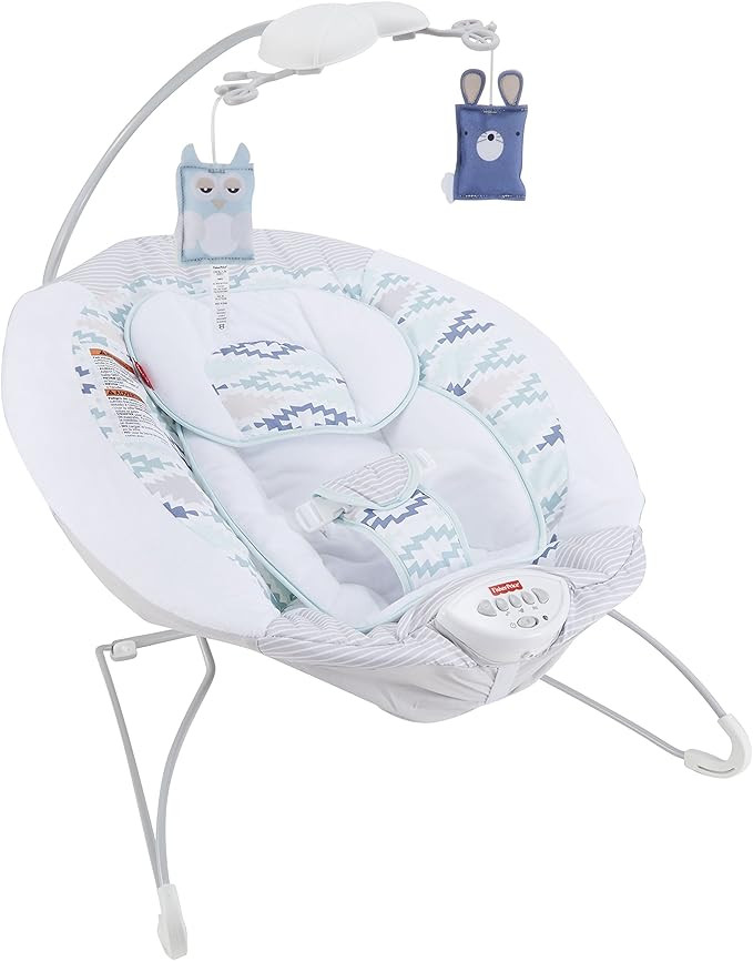 Fisher-Price Deluxe Bouncer: Woodsy Wonders | Amazon (US)