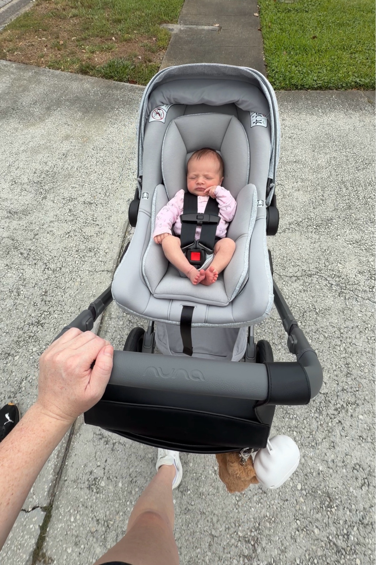 newborn stoller walks

#LTKBaby #LTKmomlife #LTKmorningroutine