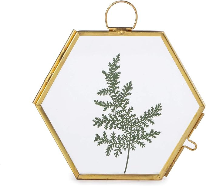 NCYP Mini Double Glass Floating Frame for Dried Flowers Plants, Photo - Side length 1.9 Inches - ... | Amazon (US)