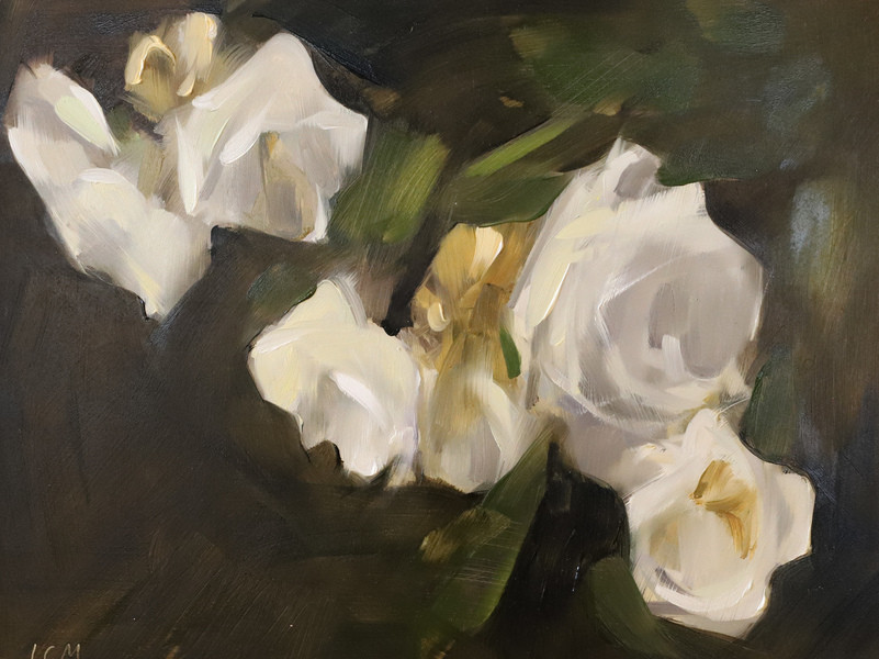 Rose Tumble | Artfully Walls