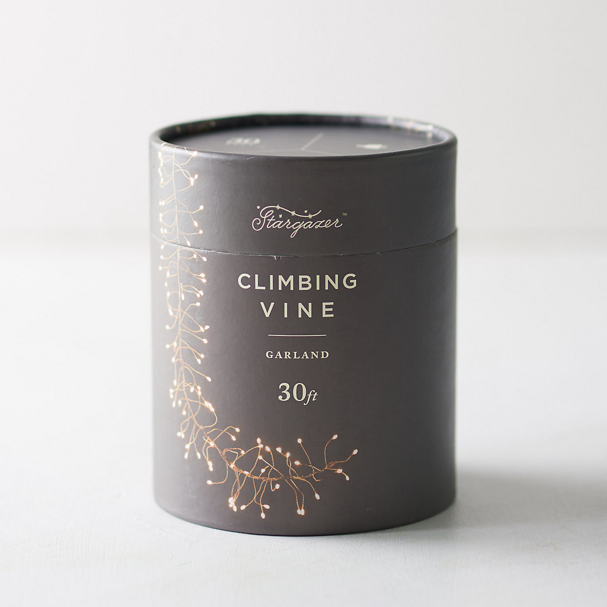 Stargazer Climbing Vine Garland | Terrain