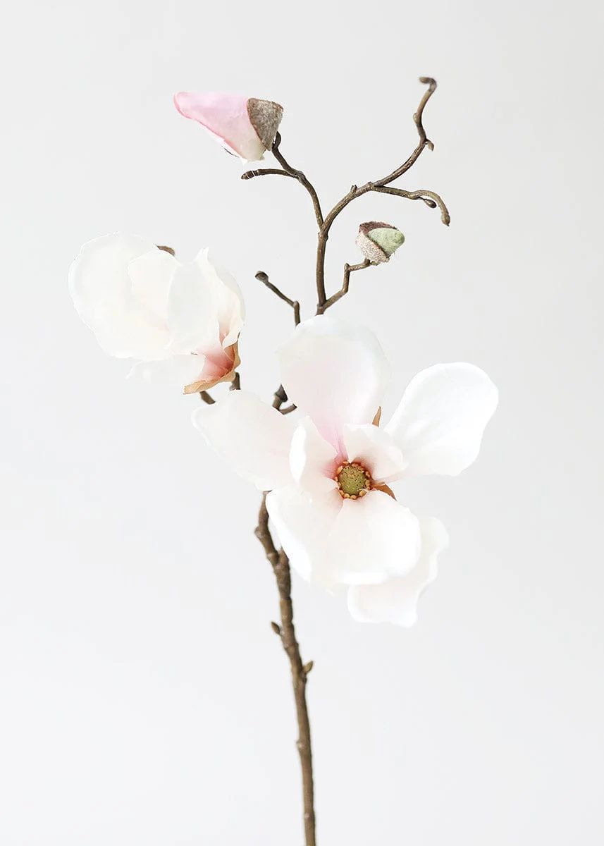 Silk Magnolia Branch in Blush Pink - 19" | Afloral (US)