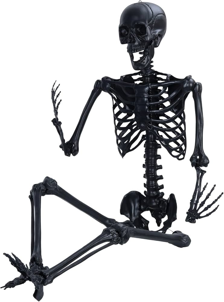 5.4FT/165cm Poseable Halloween Skeleton, Halloween Life Size Skeleton Full Body, Realistic Hangin... | Amazon (US)