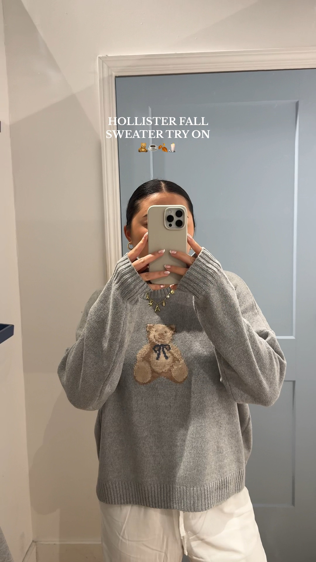 Hollister teddy bear online