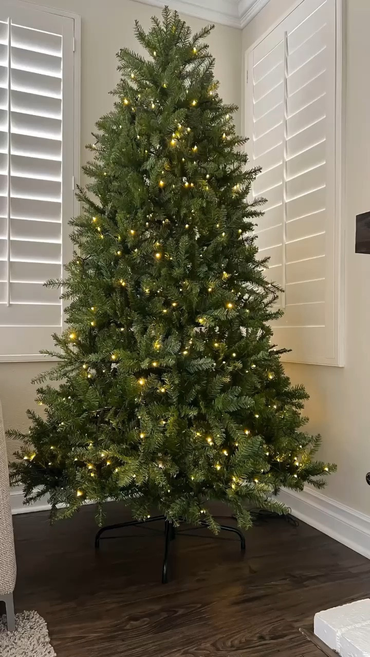 Amazing Christmas tree lights from Amazon for my 7.5’ King of Christmas tree! 
Check my Instagram post on tips to hang your Christmas tree lights! 

Christmas tree, Christmas tree lights, LED lights, warm white, multicolored lights, amazon finds, remote control, King of Christmas, Yorkshire Fir 


#LTKSeasonal #LTKVideo #LTKHoliday