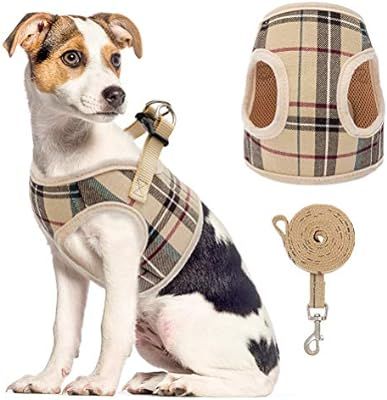 Soft Mesh Dog Harness with Leash Basic Plaid Padded Vest for Puppy (Medium, Cream) | Amazon (US)