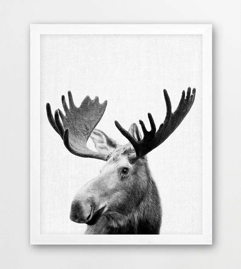 Moose Antlers Photo, Black and White Woodland Print (Digital Download) | Etsy (Global)