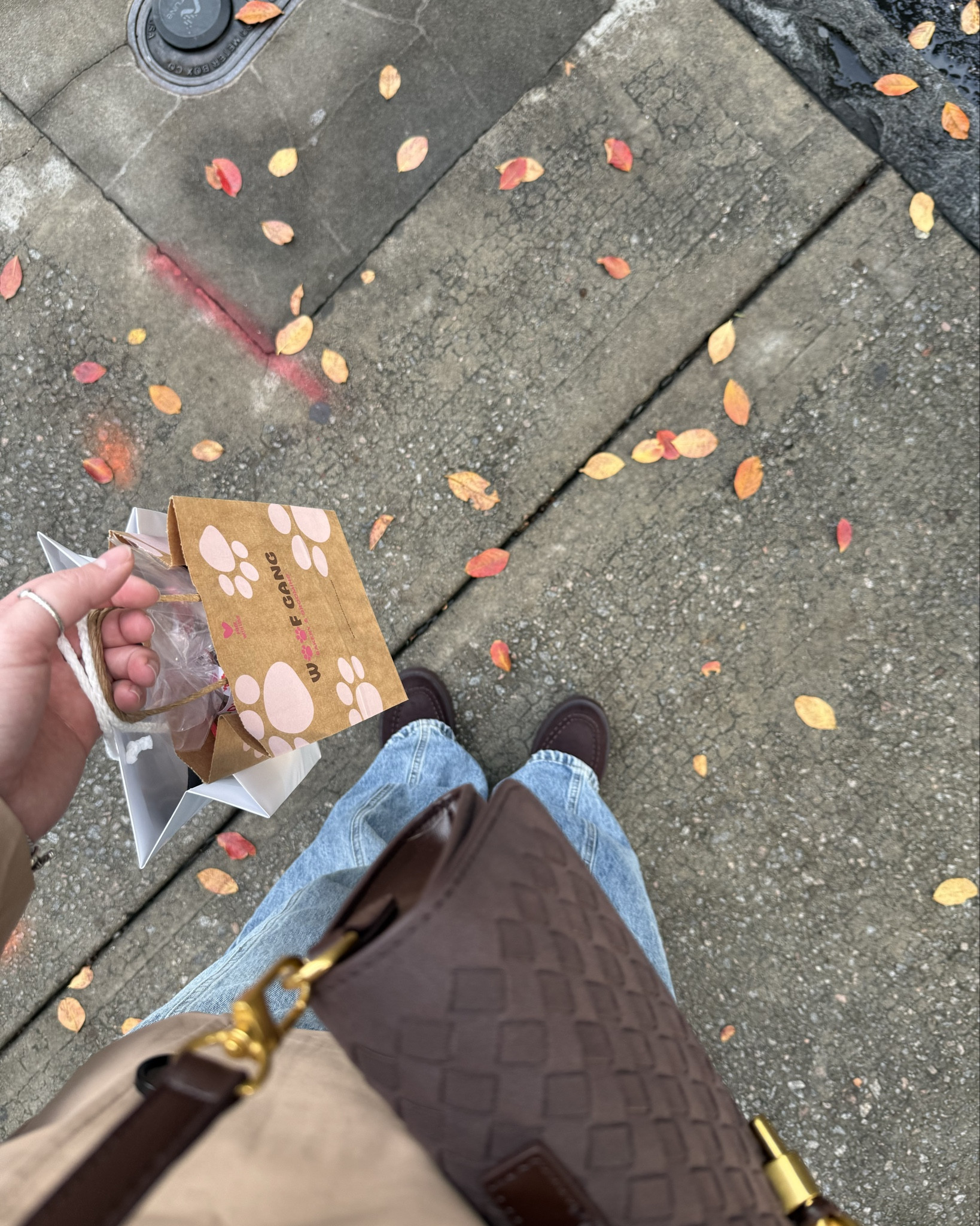 Of course we had to pick up some goodies for the pups while we were out shopping🐾🦴🛍️🍁

#LTKSeasonal #LTKHoliday #LTKCyberWeek