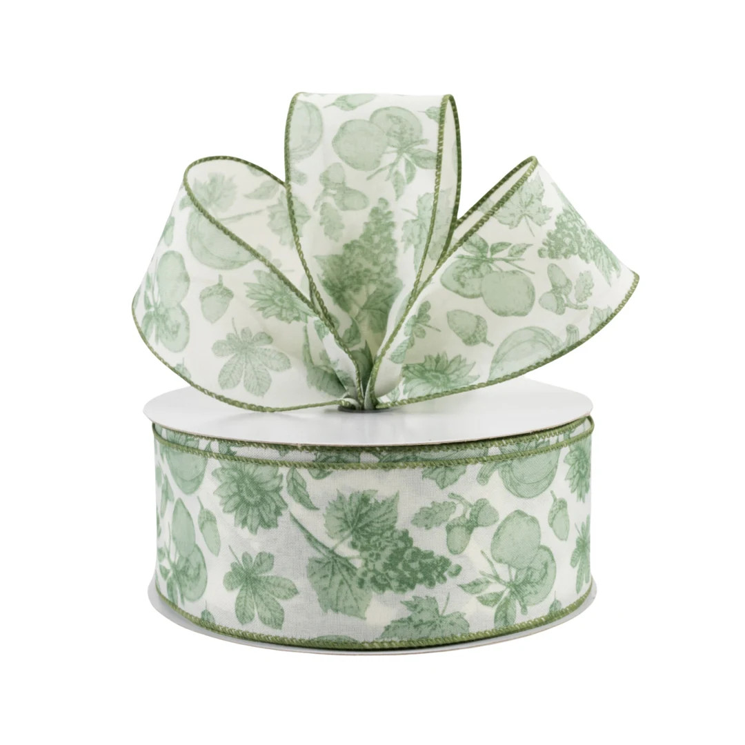 Toile Pumpkin Sage Green and White Canvas 2.5 Wired Ribbon - Etsy | Etsy (US)