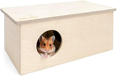 Niteangel Birch Chamber-Maze Hamster Hideout - Small Pets Woodland House Habitats Decor for Hamst... | Amazon (US)