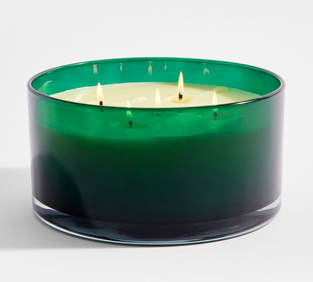 Winter Spruce Scent Collection | Pottery Barn (US)