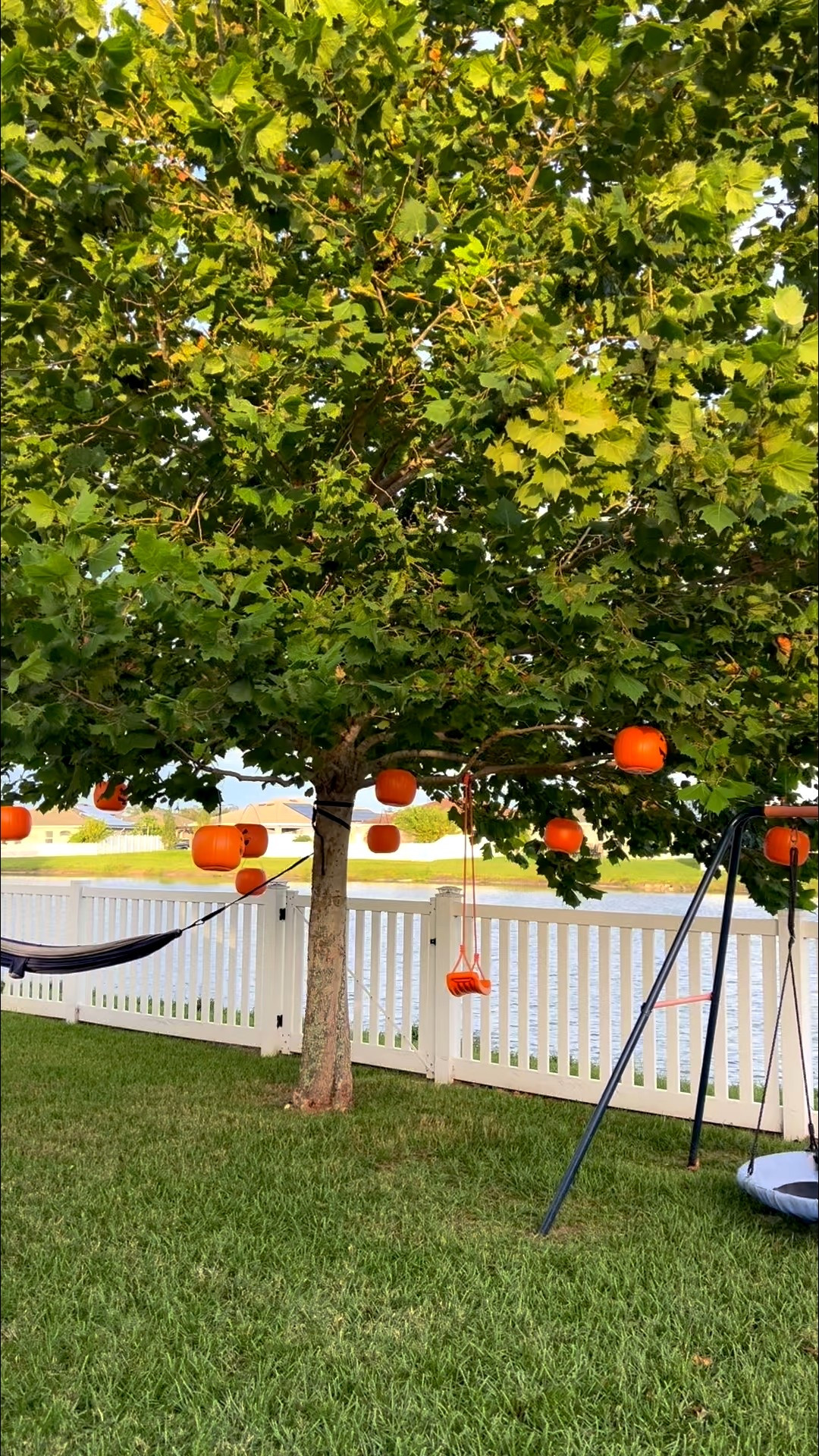 Viral glowing pumpkin tree! 🎃. All supplies were under $30!!

Ps- drill holes in the bottom of the pumpkins before hanging to allow for water drainage.  & Place your tea lights in plastic bags to prevent water damage! 

#LTKKids #LTKSeasonal #LTKHalloween