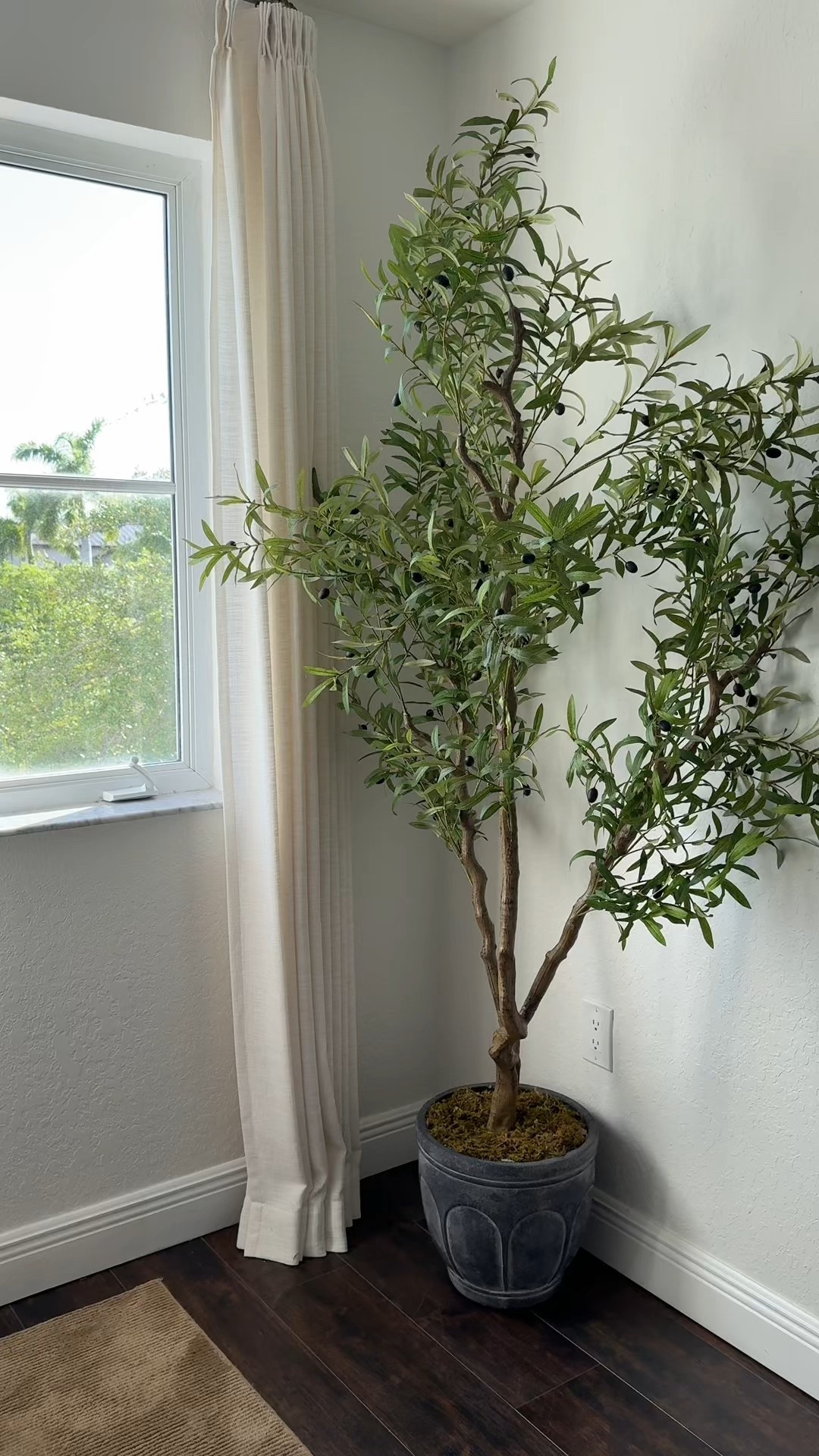 Faux Amazon olive tree 

#LTKSeasonal #LTKHome #LTKSaleAlert