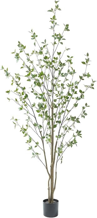 Basic Pot | Amazon (US)