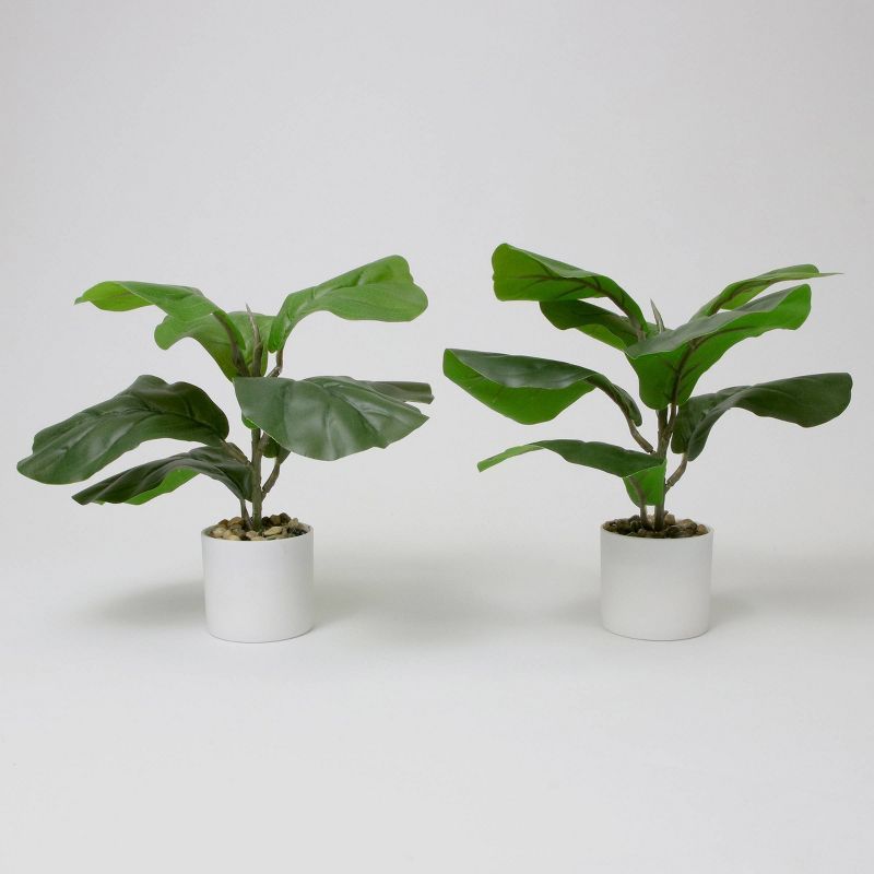 2ct Faux Fiddle Leaf Plant with White Pot - Bullseye's Playground™ | Target