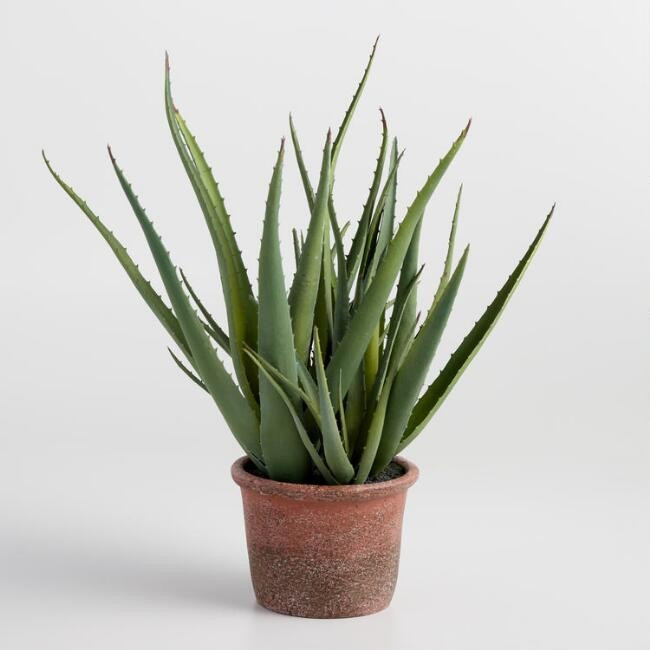Faux Aloe in Terracotta Pot | World Market