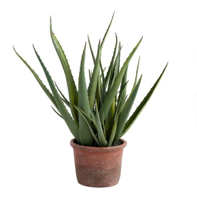 Faux Aloe Plant In Terracotta Pot | World Market