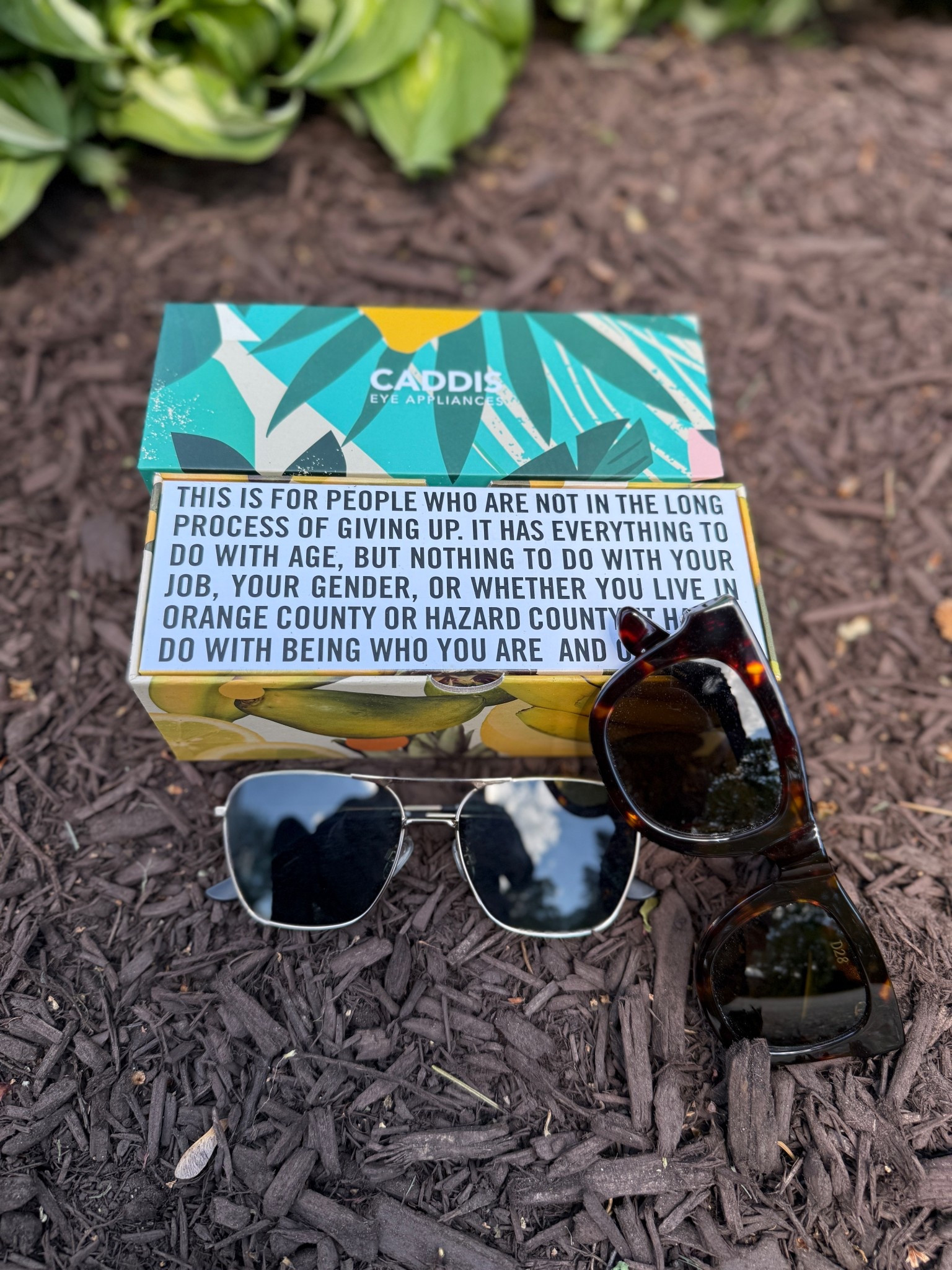 Can’t get enough of these Caddis sunglasses! Check them out on my LTK Shop! 

#LTKSeasonal #LTKMens #LTKOver40