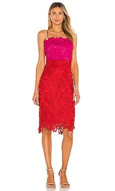 MILLY Floral Lace Dress in Razzmatazz & Poppy from Revolve.com | Revolve Clothing (Global)