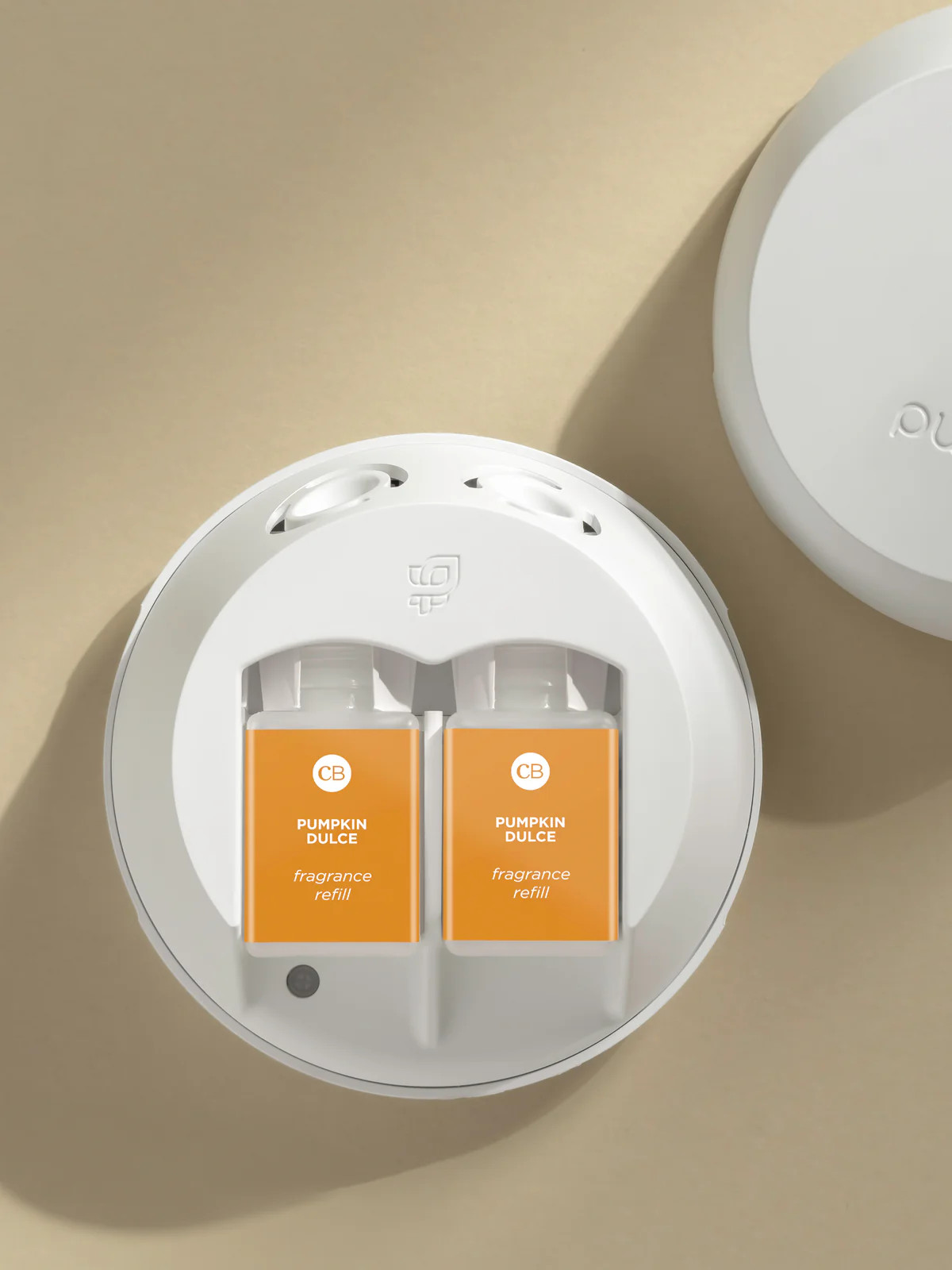 Pumpkin Dulce | Pura