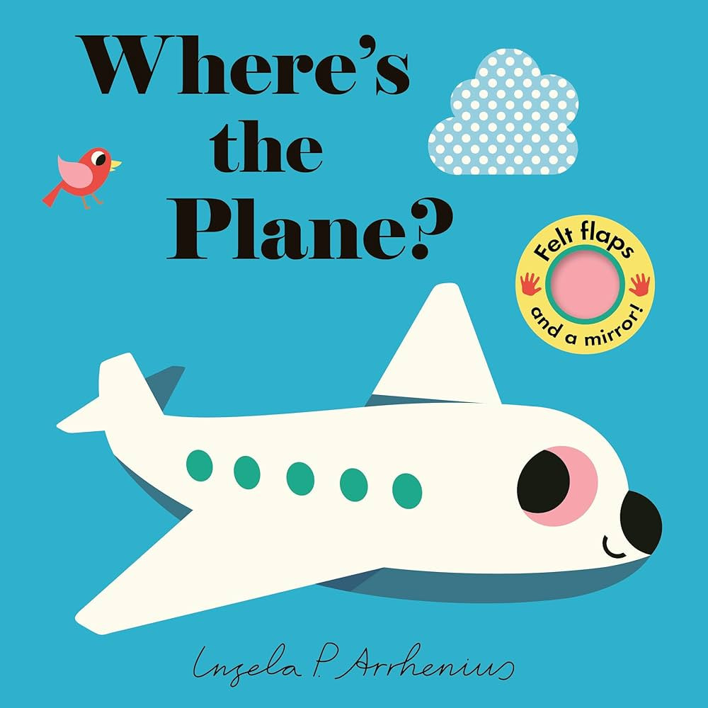 Where's the Plane?: (An Interactive, Sensory Lift-the-Flap Book with Felt Flaps and a Mirror for ... | Amazon (US)