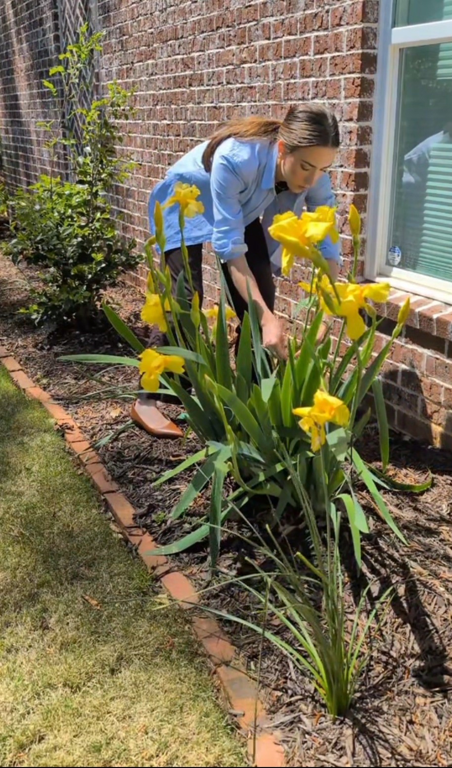 These floral stakes are must have for your heavier blooms this season! #gardening #gardentips 

#LTKSeasonal