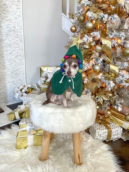 The cutest Christmas poncho!

Christmas tree costume, dog clothes, dog accessories, Christmas sweater

#LTKSeasonal #LTKHoliday #LTKfamily