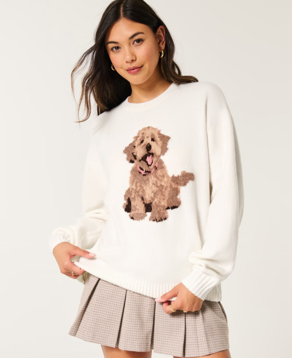 Viral dog sweater! Perfect fall outfit 🧸

#LTKFindsUnder50 #LTKGiftGuide #LTKSeasonal