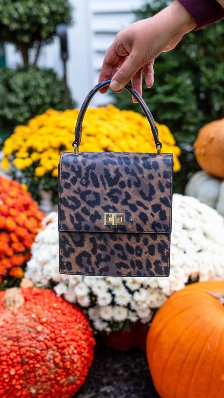 This limited edition bag is darling! Love the idea of pairing this with just a black turtleneck, fitted black ankle pants, and black heels.

#LTKitbag #LTKover40 #LTKstyletip