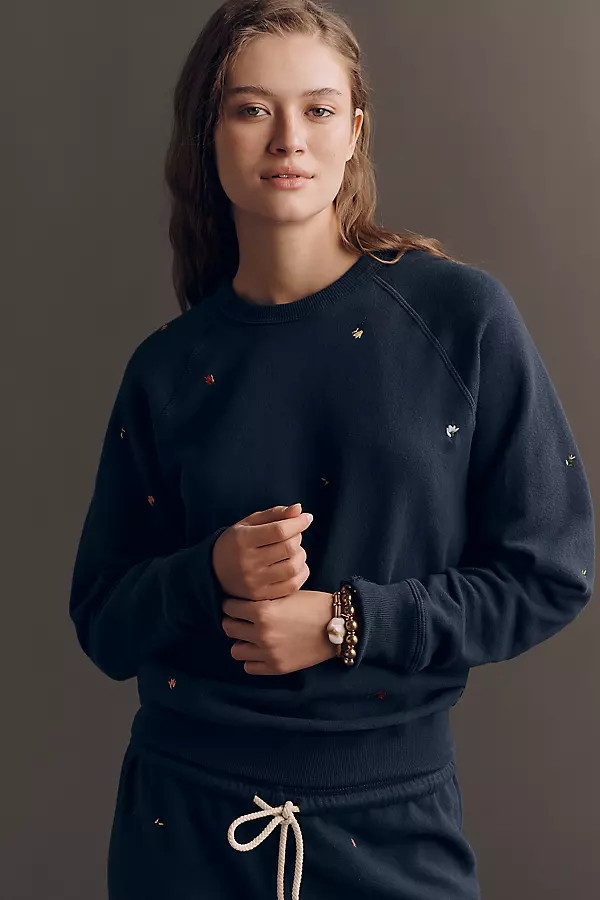 College Embellished Crew-Neck Long-Sleeve Pullover | Anthropologie (US)