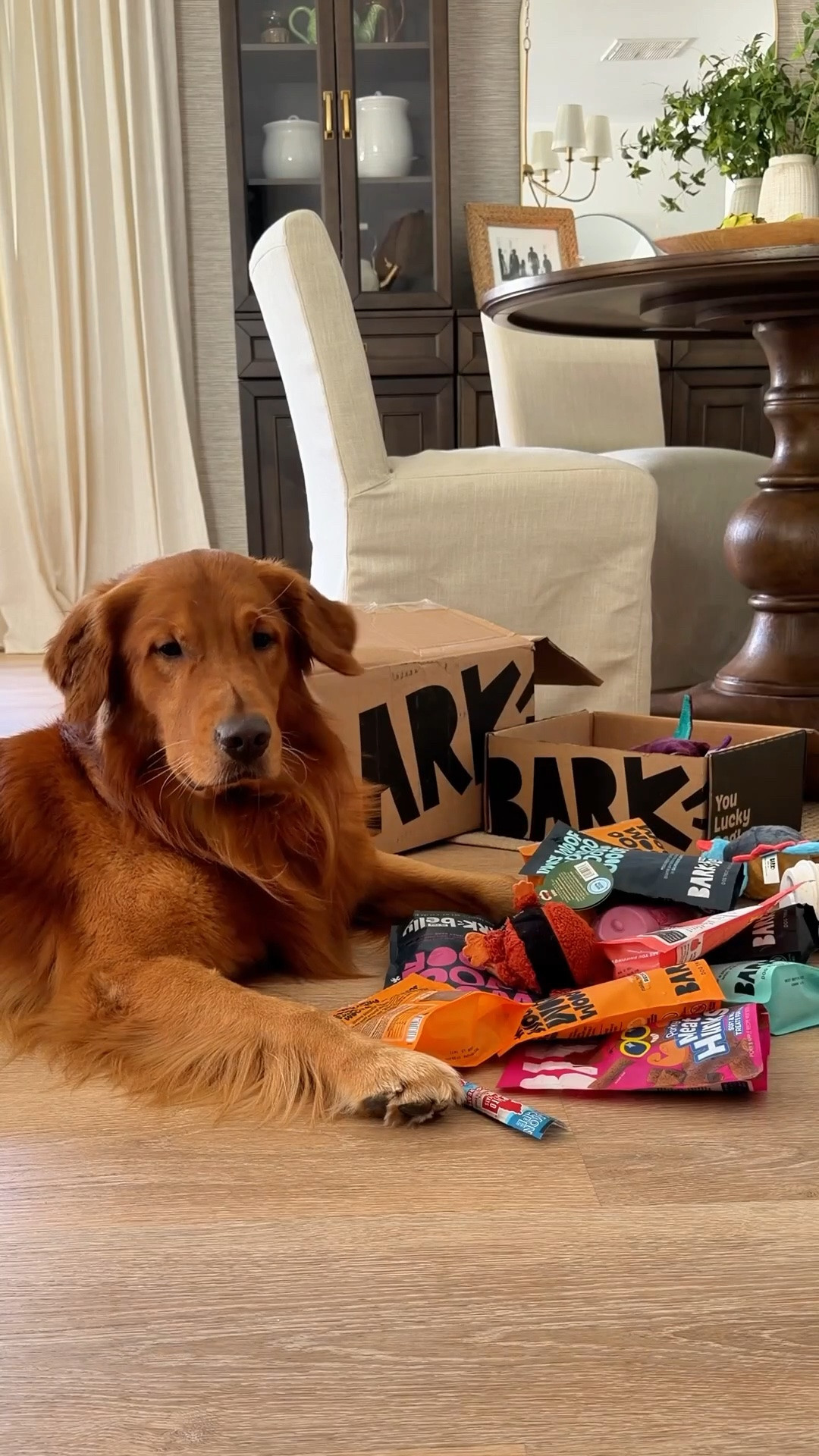 A little happy mail for my two golden boys 🐾 They had the best time exploring all the new toys and treats. I love figuring out which toys they gravitate toward most , squeaky plush toys are definitely a favorite around here. Sharing all the puppy favorites linked here for my fellow dog moms 🤍 #dogmom #goldenretriever #dogfavorites #petmusthaves #barkbox
@BarkBox #sponsored

#LTKvlog #LTKHome #LTKdayinmylife