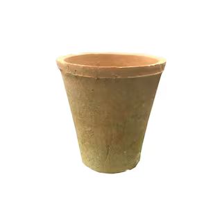 5.43" Green Moss Pot by Ashland® | Michaels Stores