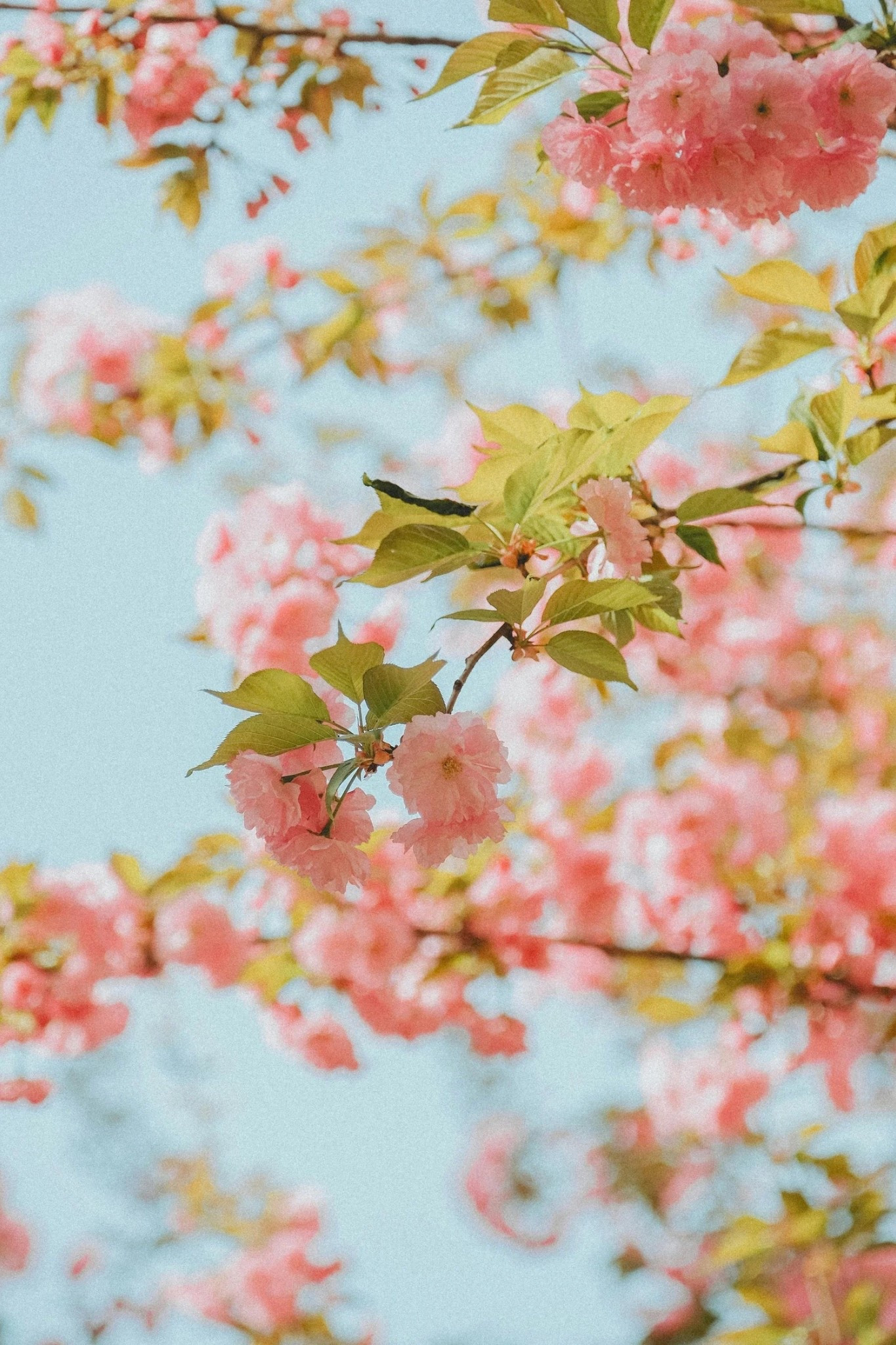 FRIDAY FAVORITES 03/27/26
I've started an exercise to focus on positivity and bring happiness into my life and those around me. I tend to dwell on the negatives, but I'm determined to retrain my brain. So, I am sharing 16 things that have made me happy in a series called "Friday Favorites" to inspire joy in others. See the full post at abigailamira.com

#LTKMidsize #LTKHome #LTKSeasonal