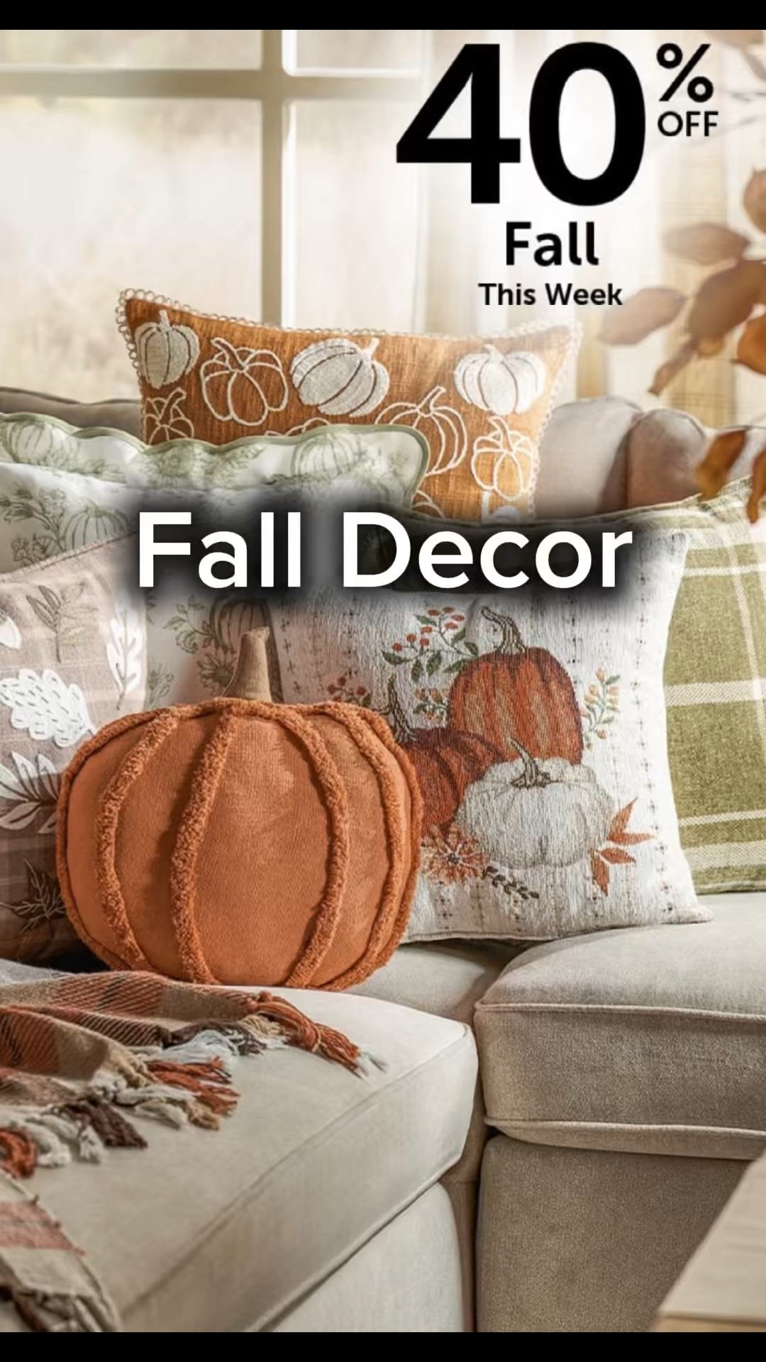 Fall Decor 🍂🍁🍃

#LTKSeasonal #LTKFallSale #LTKHalloween