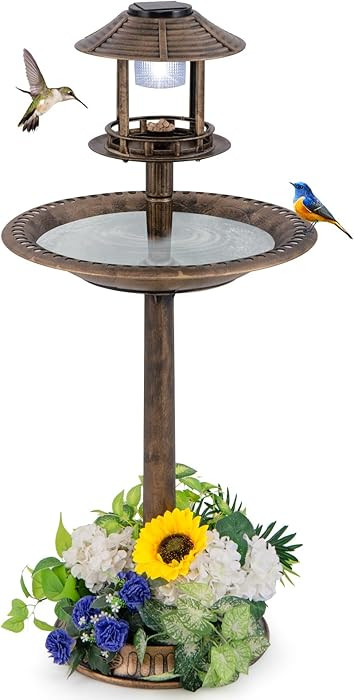 Giantex 42 inch Bird Bath Solar Lighted, Pedestal Bird Bath with Bird Feeder, Flower Planter Base... | Amazon (US)
