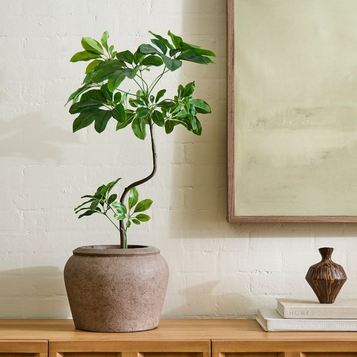Faux Potted Tropical Tree | West Elm (US)