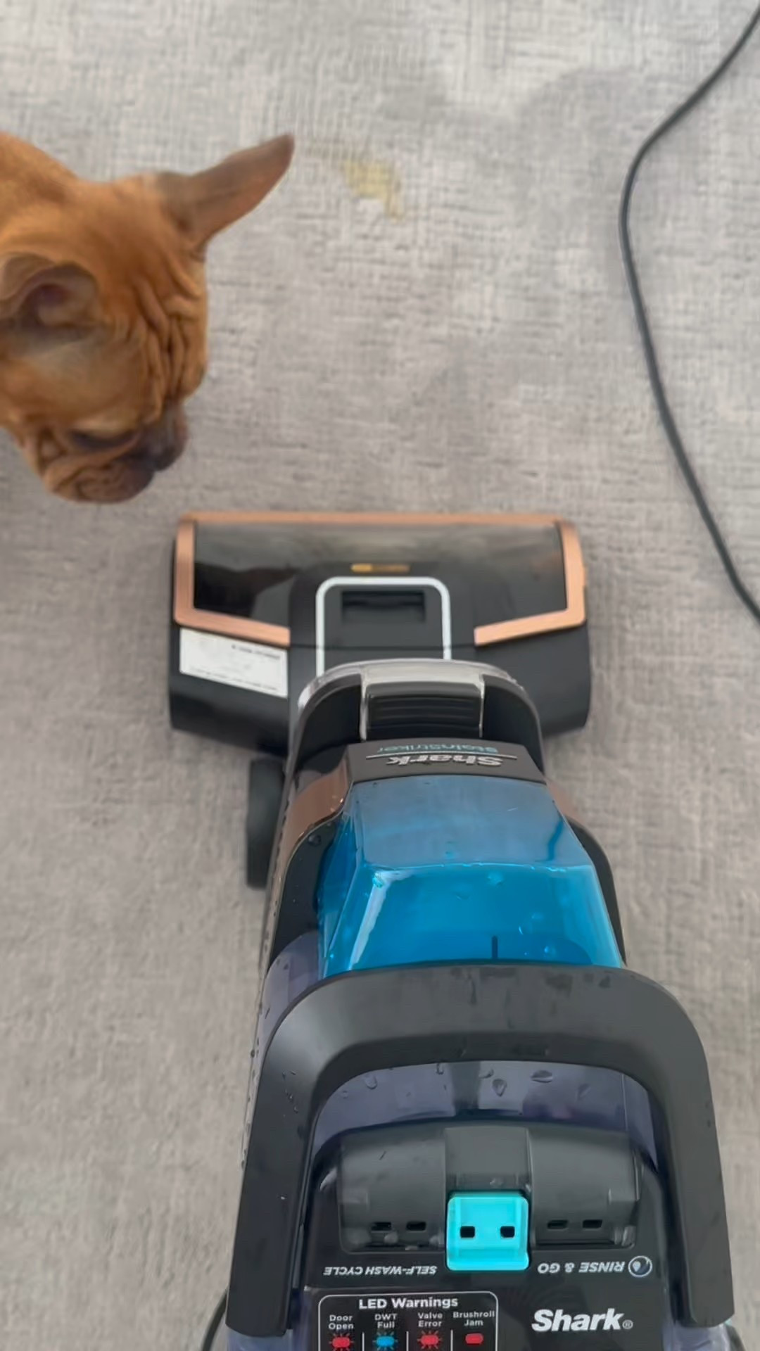 When you need something more powerful than the green machine. This carpet clean has a drying mode too. Here’s some dog barf getting cleaned 

#LTKPets #LTKHome #LTKFamily