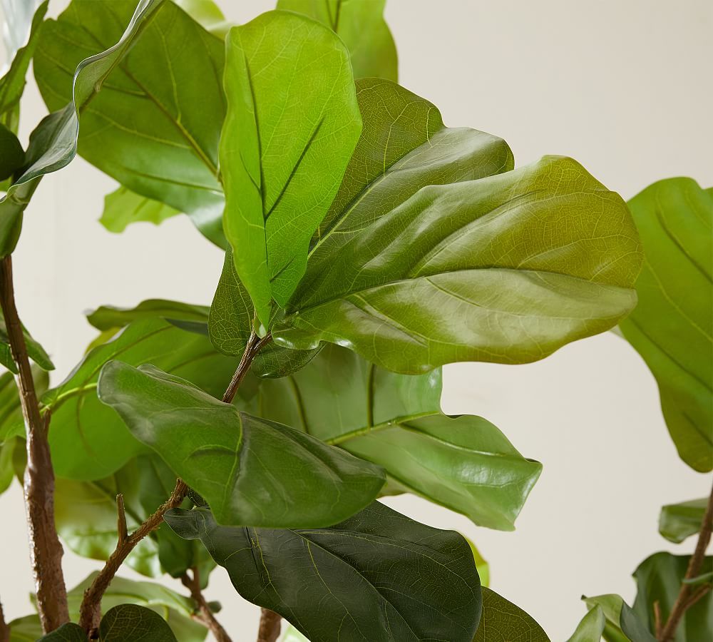 Faux Potted Fiddle Leaf Fig Trees | Pottery Barn (US)