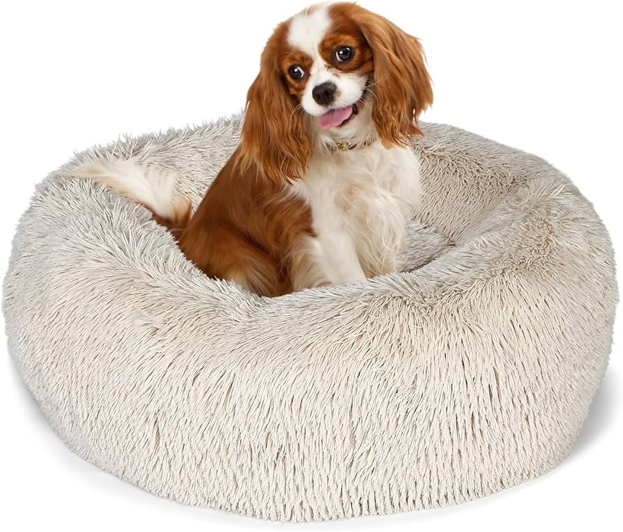 Small Dog Bed Calming Dogs Bed for Small Medium Large Dogs Anti-Anxiety Puppy Bed Machine Washabl... | Amazon (US)