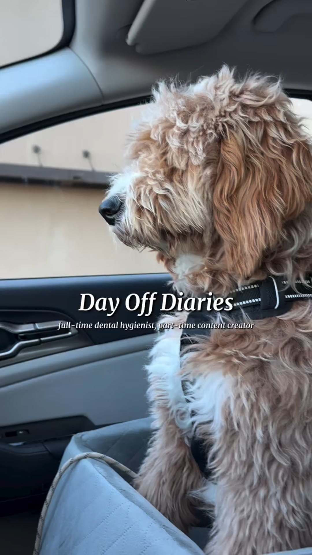 Episode 1 | Day Off Diaries ✨

Wednesdays are my day off from dental hygiene, so I film, edit, reset, run errands, and try to get my life back together

Follow along for more midweek + working woman diaries 🤍

#dayinthelifevlog #workingwoman #dentalhygienist #lifestylevlog #fyp #ltk #gifted

#LTKPets #LTKselfcare #LTKdayinmylife