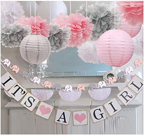 luckylibra Baby Girl Baby Shower Decorations, It is a Girl Banners and Paper Lantern Paper Flower... | Amazon (US)