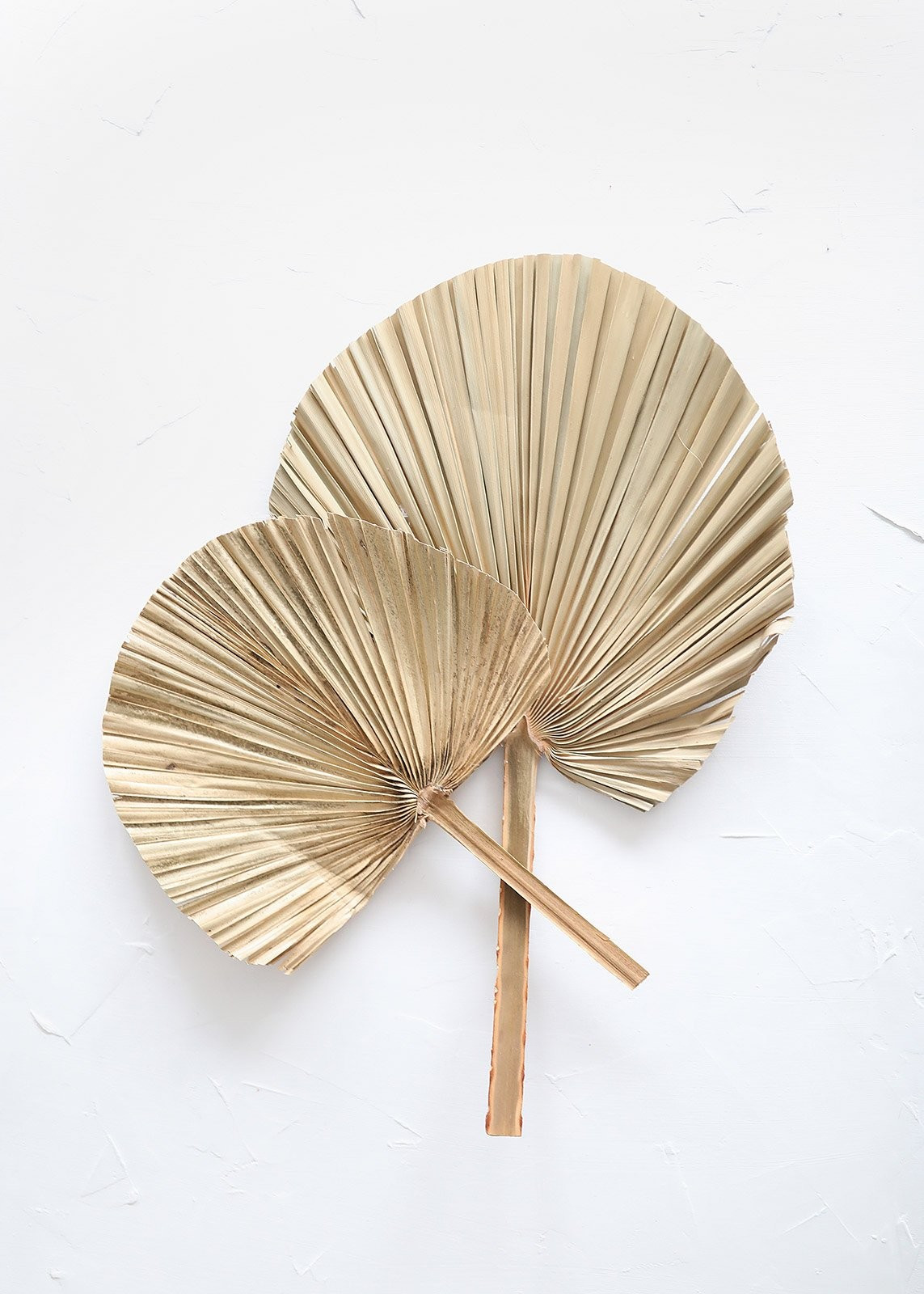 Pack of 2 - Natural Tan Palm Leaf Fans | Afloral (US)