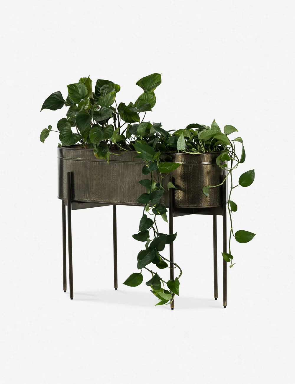 Francine Large Planter | Lulu and Georgia 