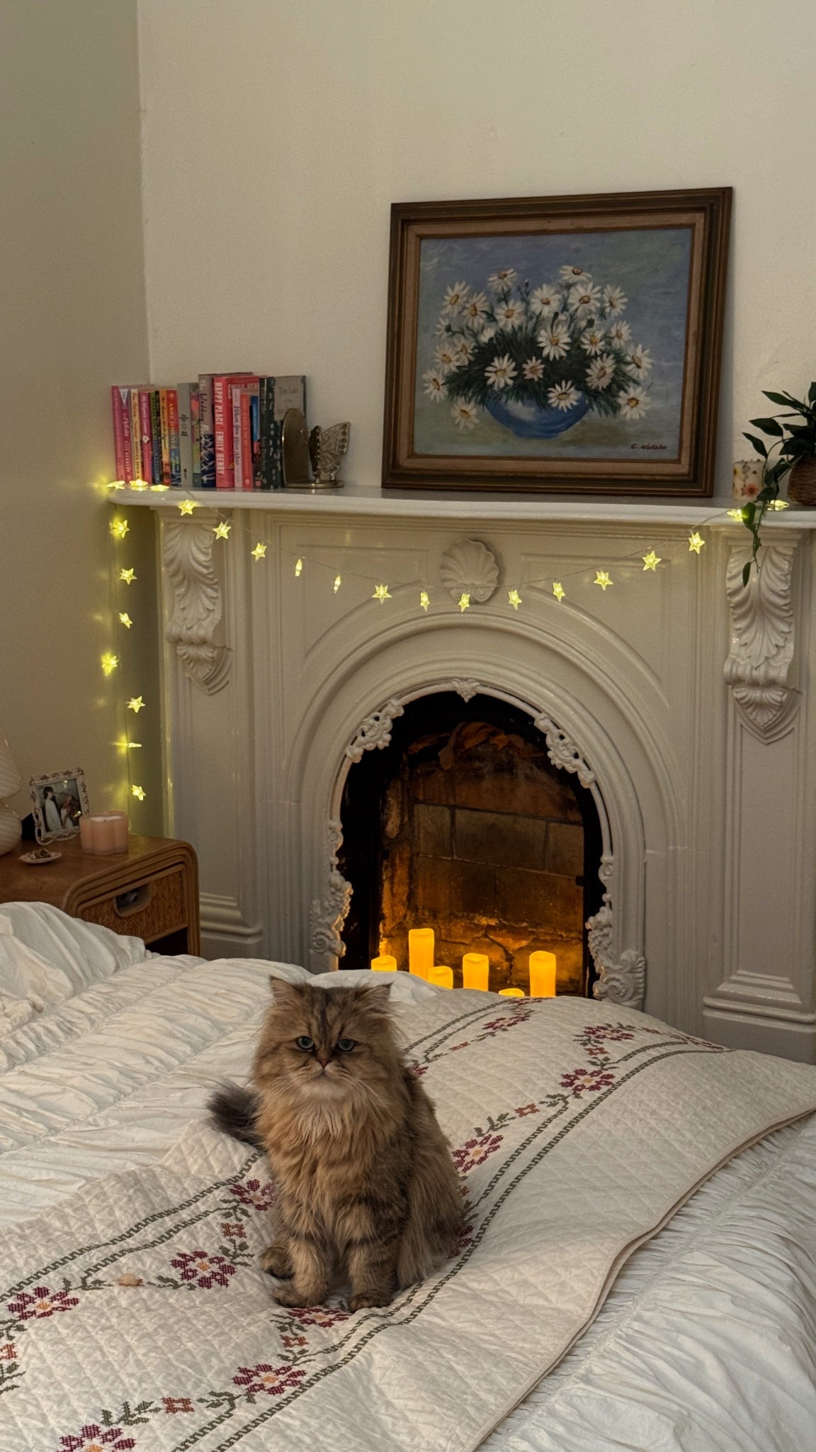 adding these little star string lights makes everything look so cozy 💛
