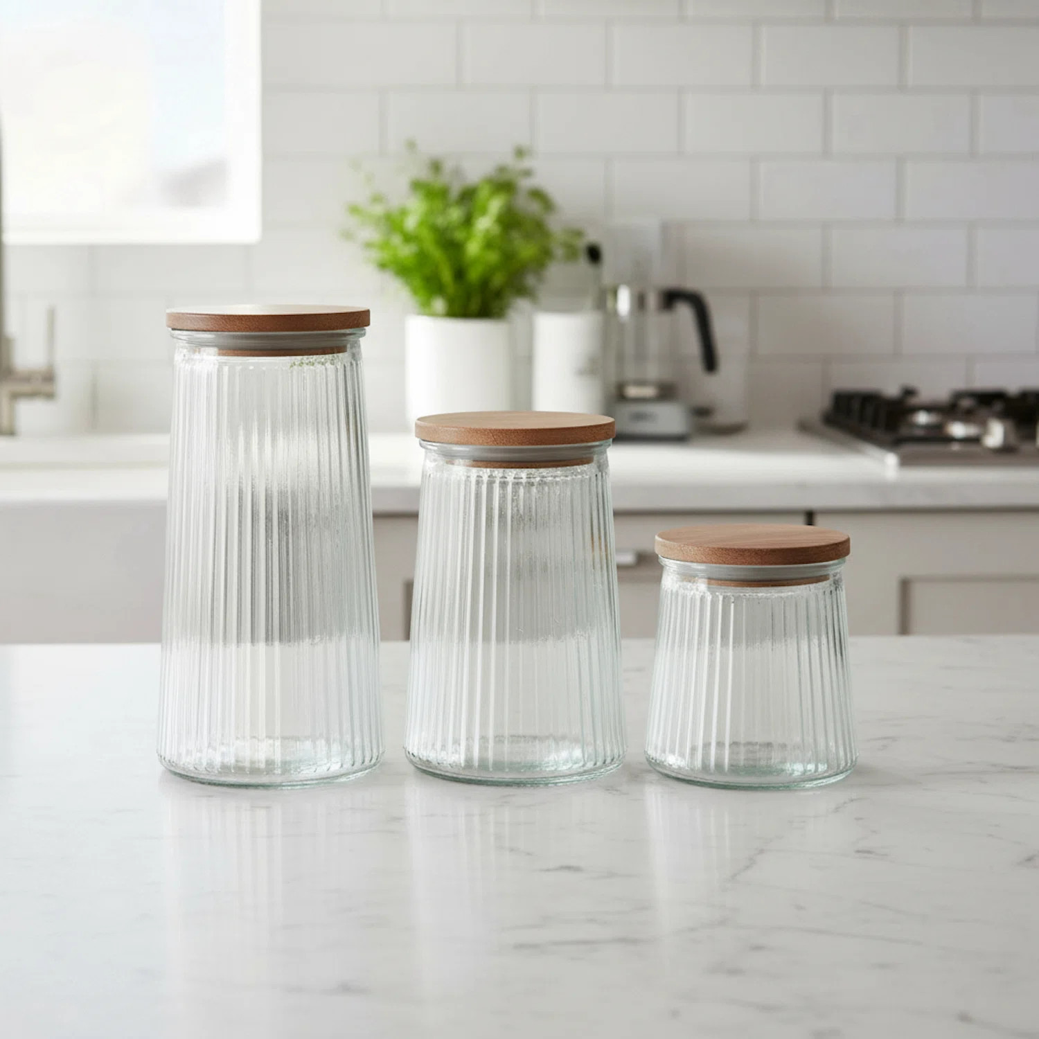 Glass Canisters Set Of 3 With Wooden Lids – 20.3Oz, 33.8Oz & 45.7Oz | Wayfair North America