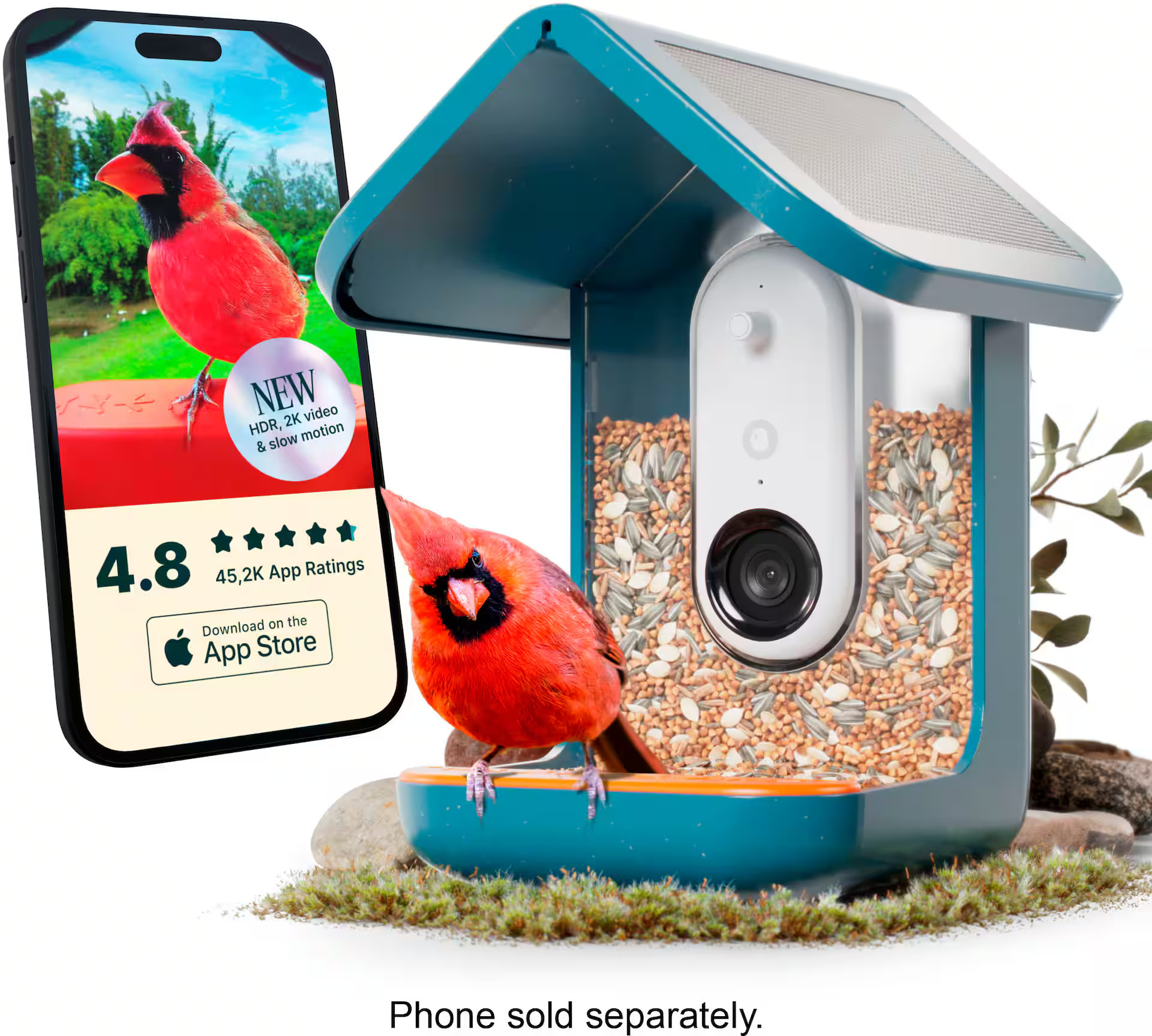 Bird Buddy - Smart Bird Feeder with Solar Roof (Pro Camera Version) - Blue | Best Buy U.S.